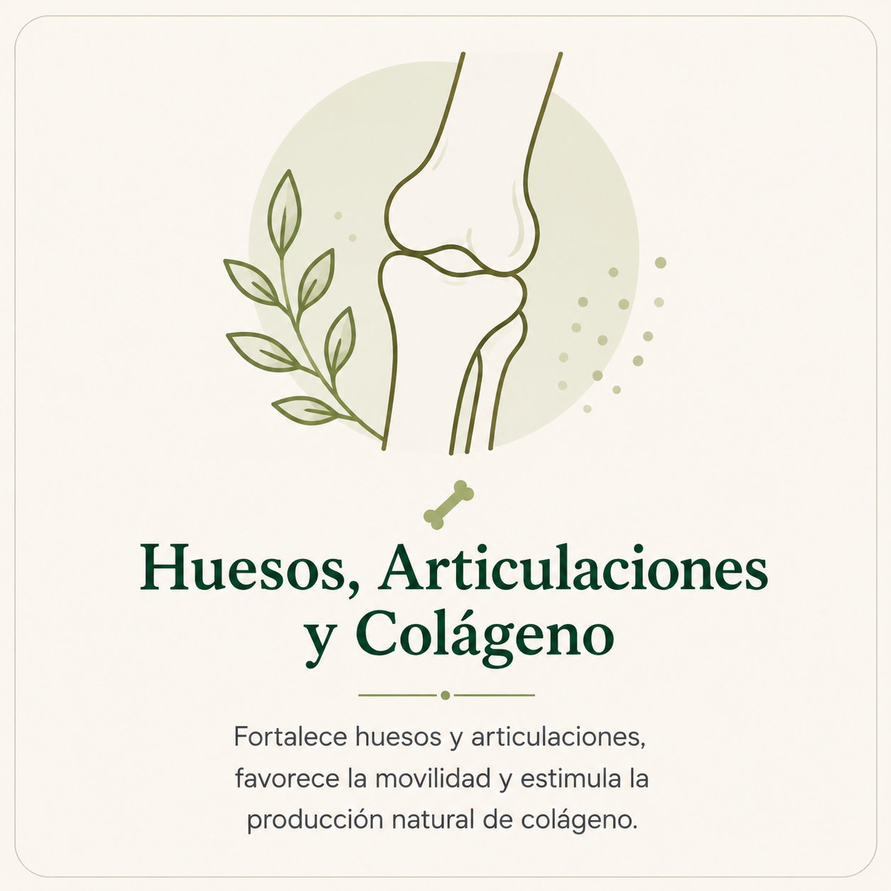 Huesos, Articulaciones y Colágeno