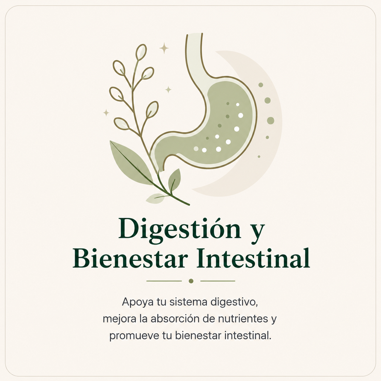 Digestión y Bienestar Intestinal